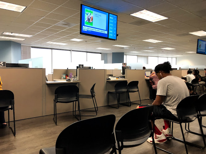 DMV Tampa