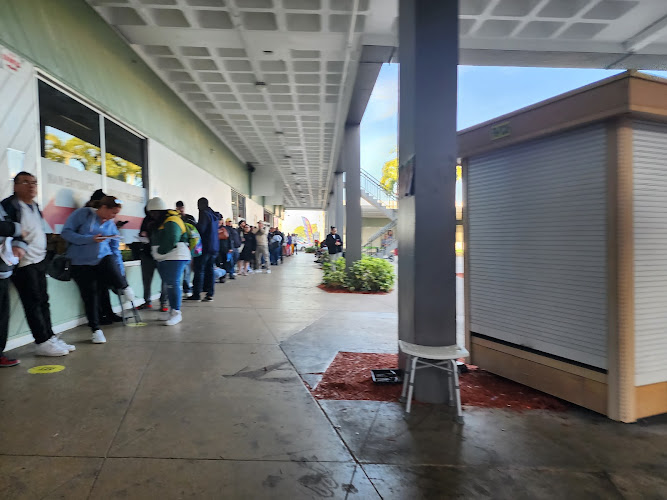 DMV Miami