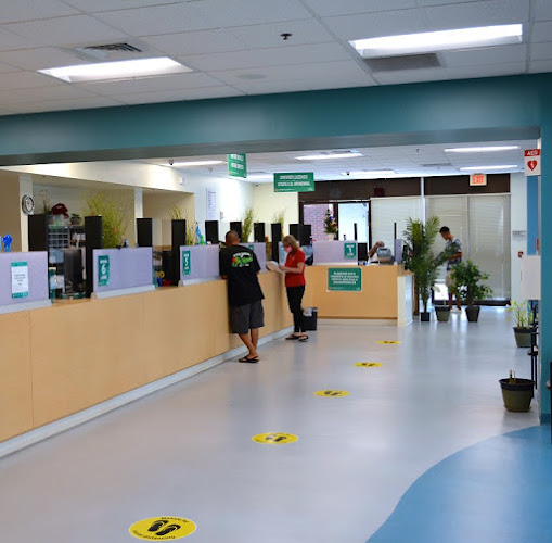 DMV East Honolulu