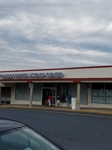 DMV Reading