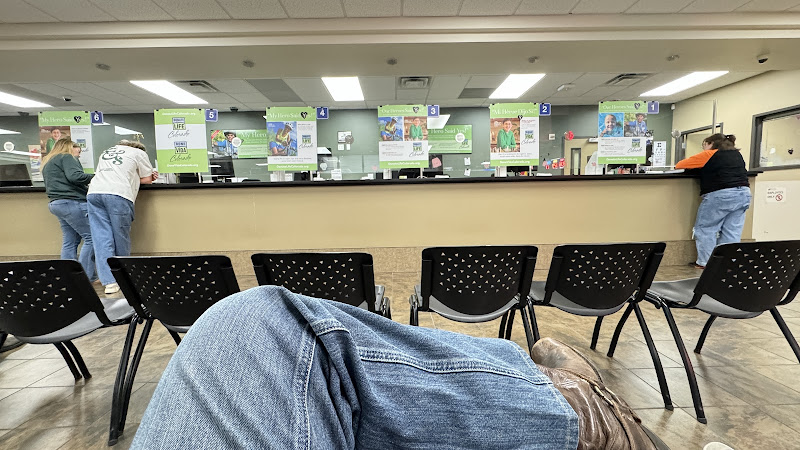 DMV Fort Collins