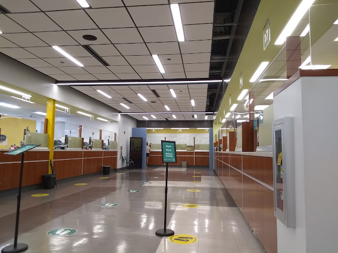 DMV Honolulu