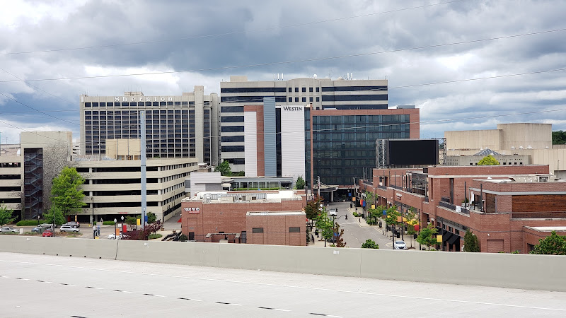 DMV Alabama