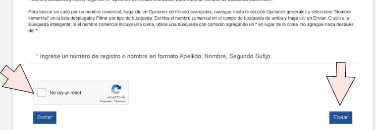 como consultar multas en Idaho